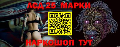 МДПВ Гатчина