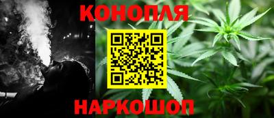 МДПВ Гатчина