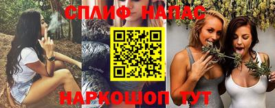 МДПВ Гатчина