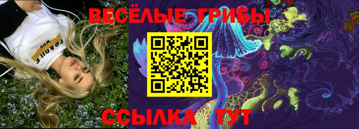 Галлюциногенные грибы Psilocybine cubensis  Назарово 